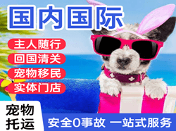 中川国际宠物托运 【国